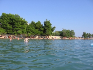 20090801_0002_1.jpg