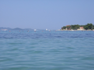 20090801_0038.jpg
